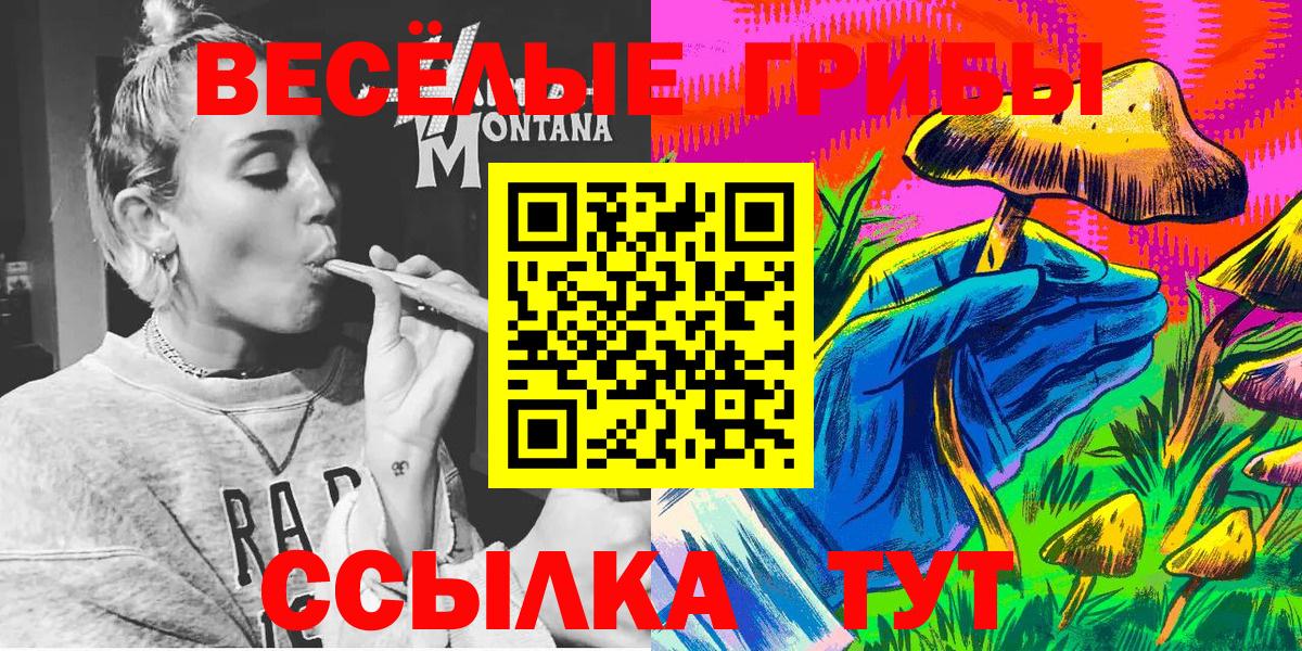 Рубцовск  Псилоцибиновые грибы Psilocybe  Псилоцибиновые грибы прущие грибы  Вход с VPN 
